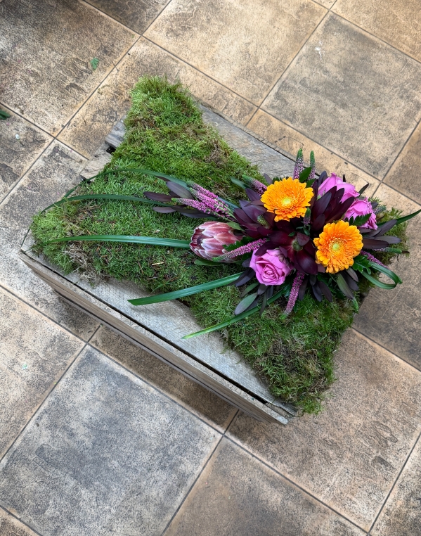 Moss Cushion
