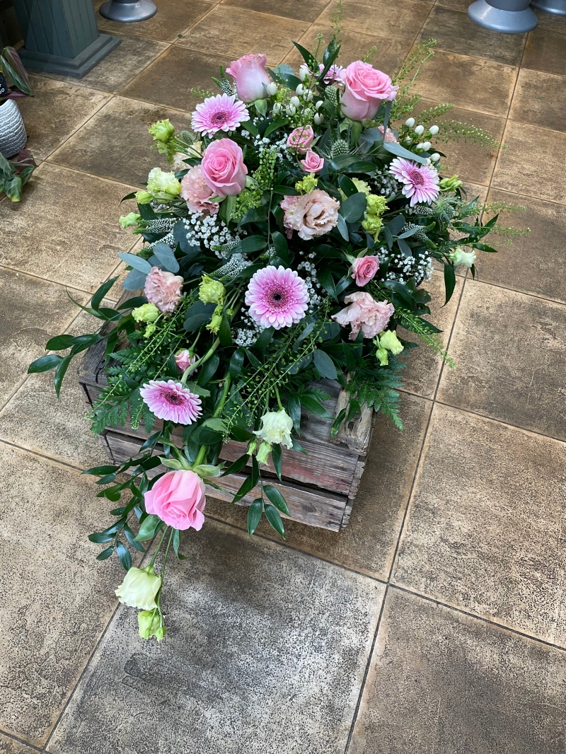 Pastel Single Ended Spray