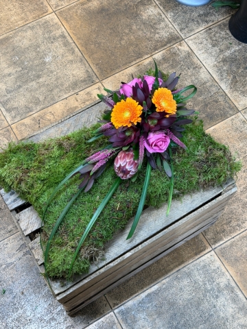 Moss Cushion