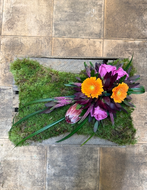 Moss Cushion