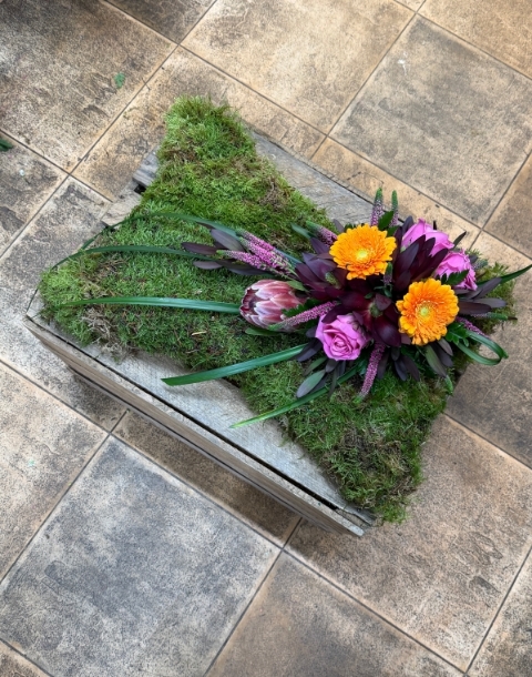 Moss Cushion